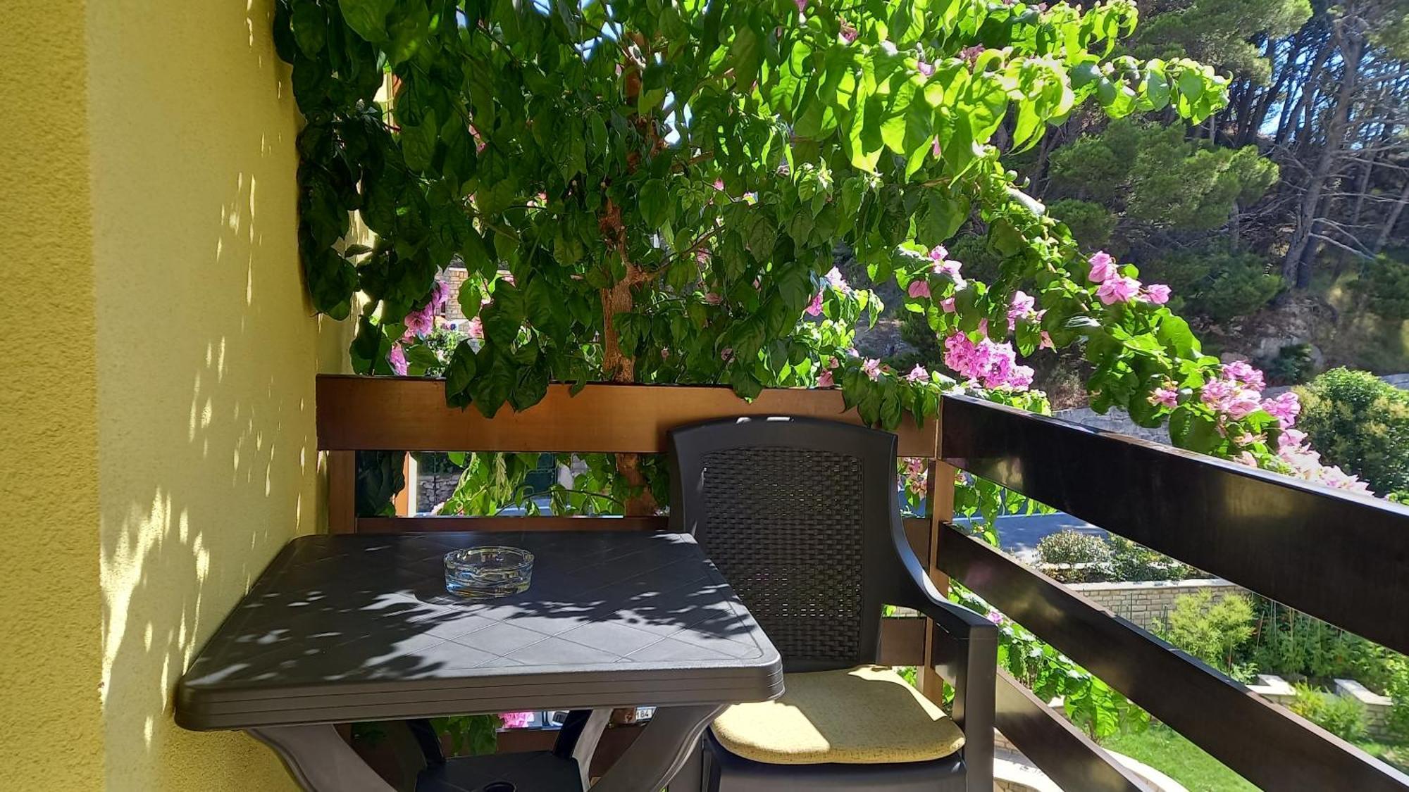 Bugenvilija Duće Exteriör bild